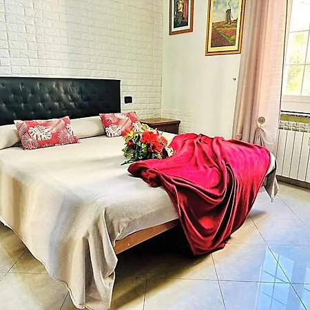 The Comfort Bed and Breakfast