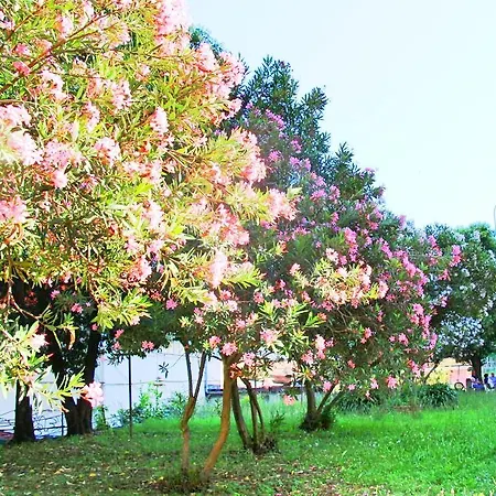 The Comfort La Spezia