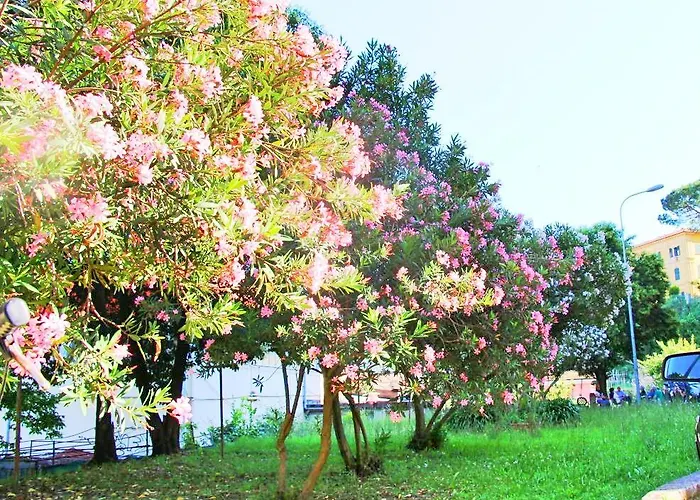 The Comfort Ла-Спеція